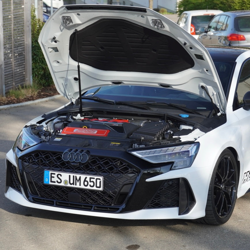 Audi RS3 2.5 TFSI (8Y) MJ 2022 + FL 2025